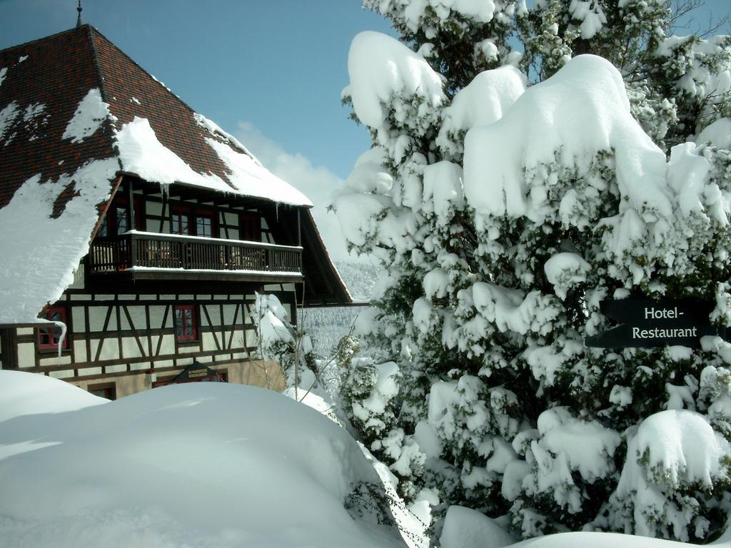 Hotel Hofgut Hohenkarpfen Hausen ob Verena Exterior photo